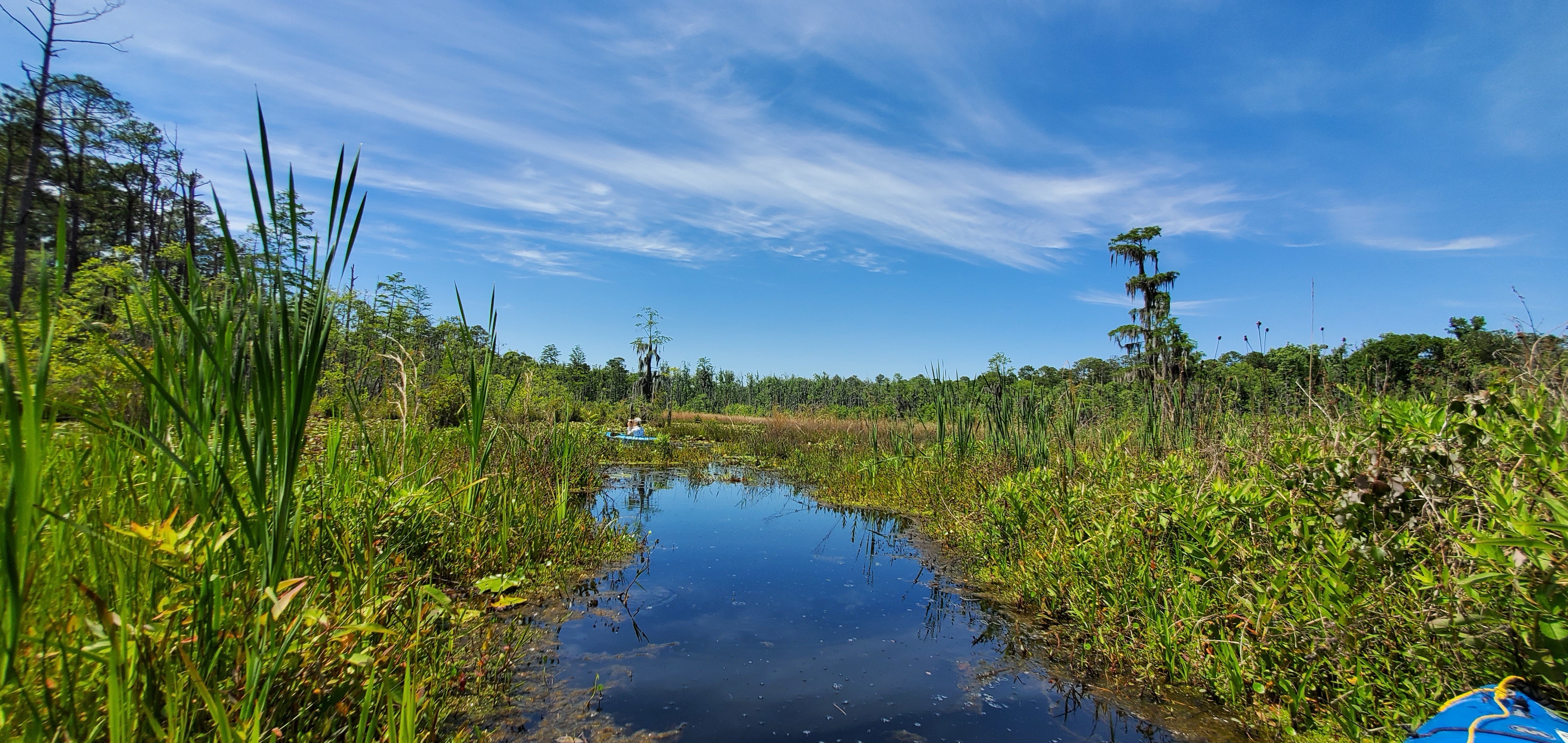 Main pond