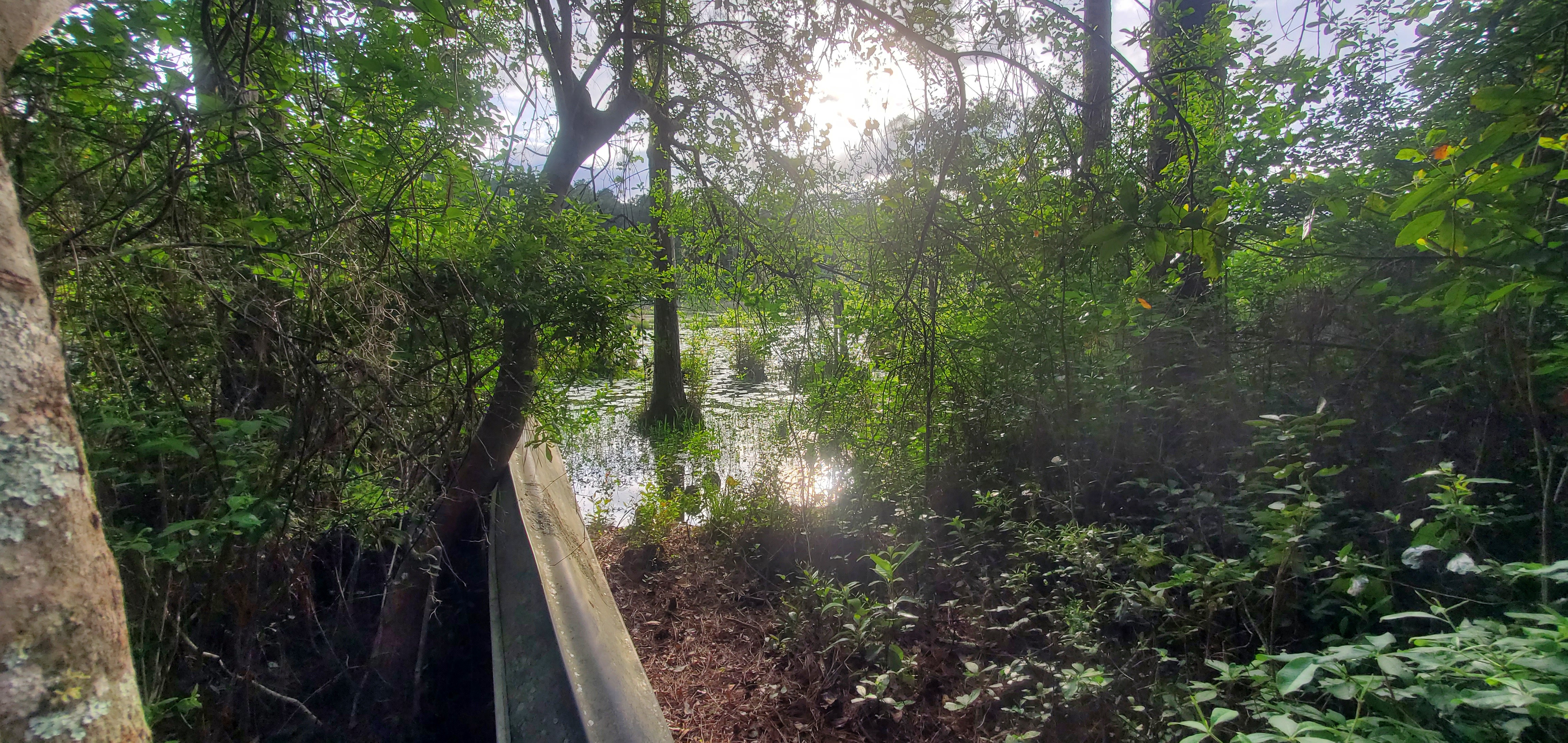 Flat boat and pond