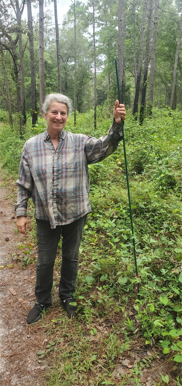 Stake for another maypop