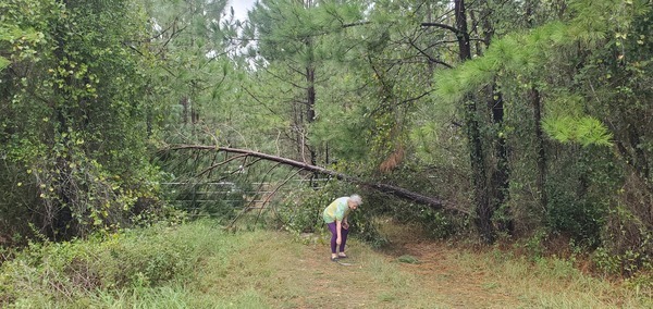 Gretchen picking up solar panel support 2023-08-30