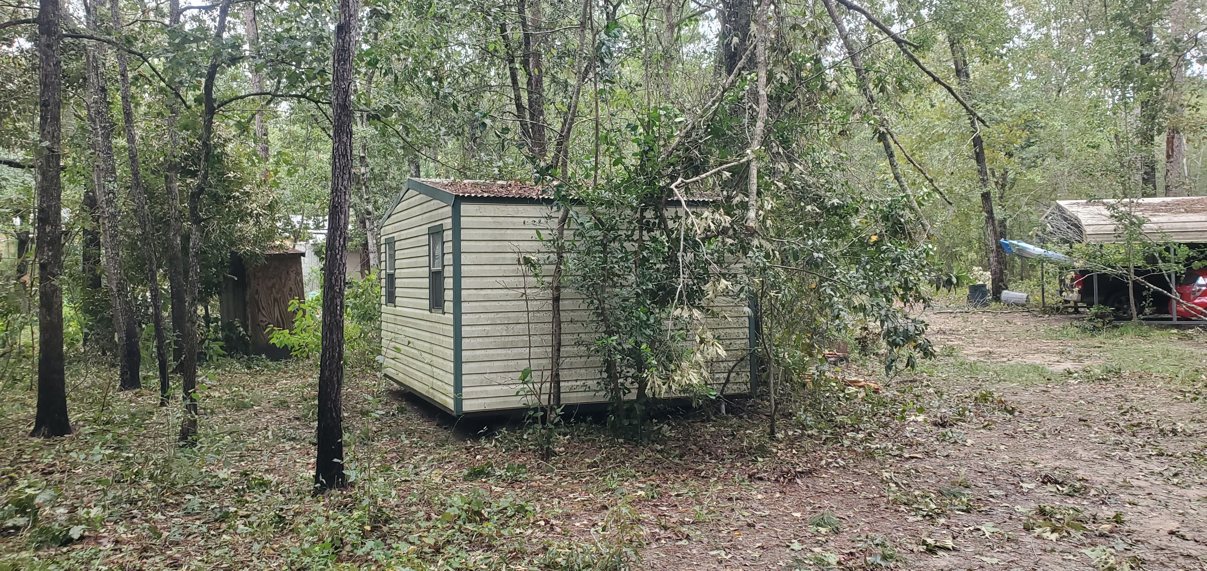 Deadfalls removed from shed and pump house 2023-08-30