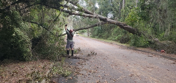 Sawing a limb, 10:32:06, 30.9958990, -83.2754890