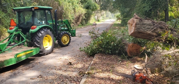 [Husqvarna 460 Rancher 26-inch chainsaw and what it cut, 10:48:58, 30.9960770, -83.2756700]