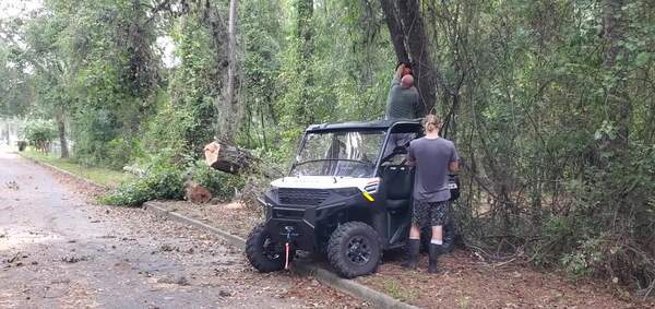 Movie: William Brooks removing an overhanging limb, 10:58:12, 30.9958820, -83.2754510 (10M)