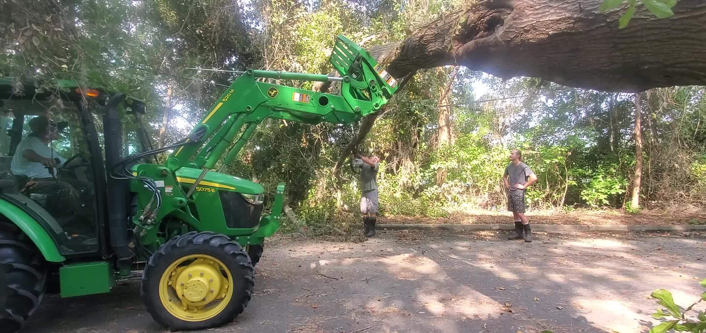 Movie: Dennis Ashley holding the tree up while William Brooks saws, 10:41:08, 30.9959469, -83.2755319 (6.6M)