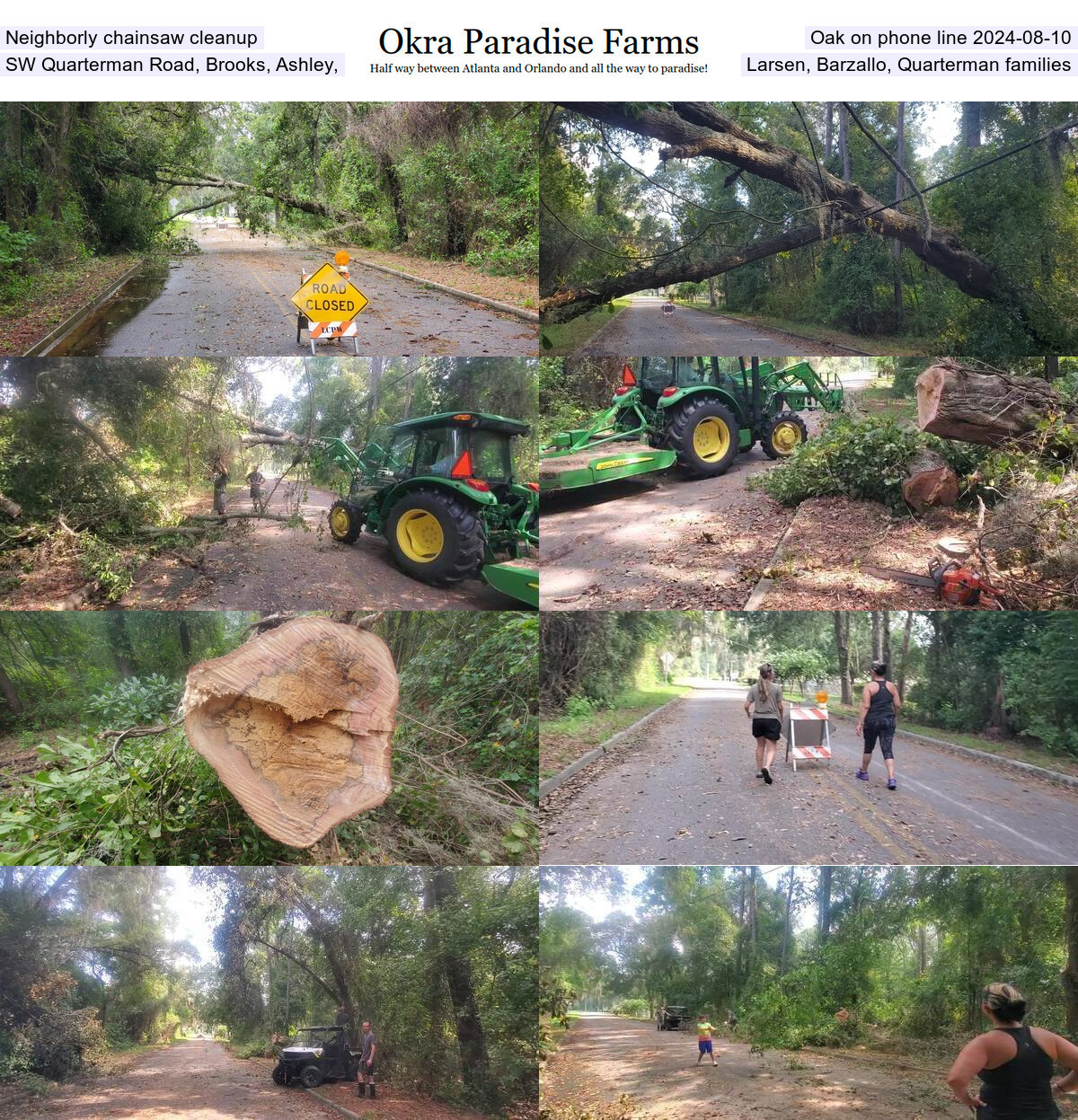 Neighborly chainsaw cleanup of oak on phone line 2024-08-10, SW Quarterman Road, by Brooks, Ashley, Larsen, Barzallo, and Quarterman families