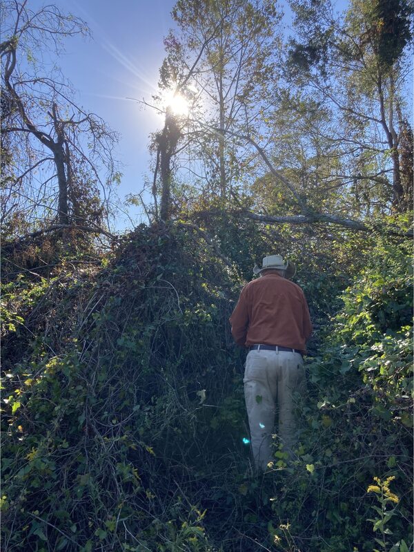 jsq starts sawing a path, 17:00:50