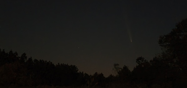 Venus in trees on left, with Comet C/2023 A3 Tsuchinshan-ATLAS, 8:09:55 PM, 2024-10-14