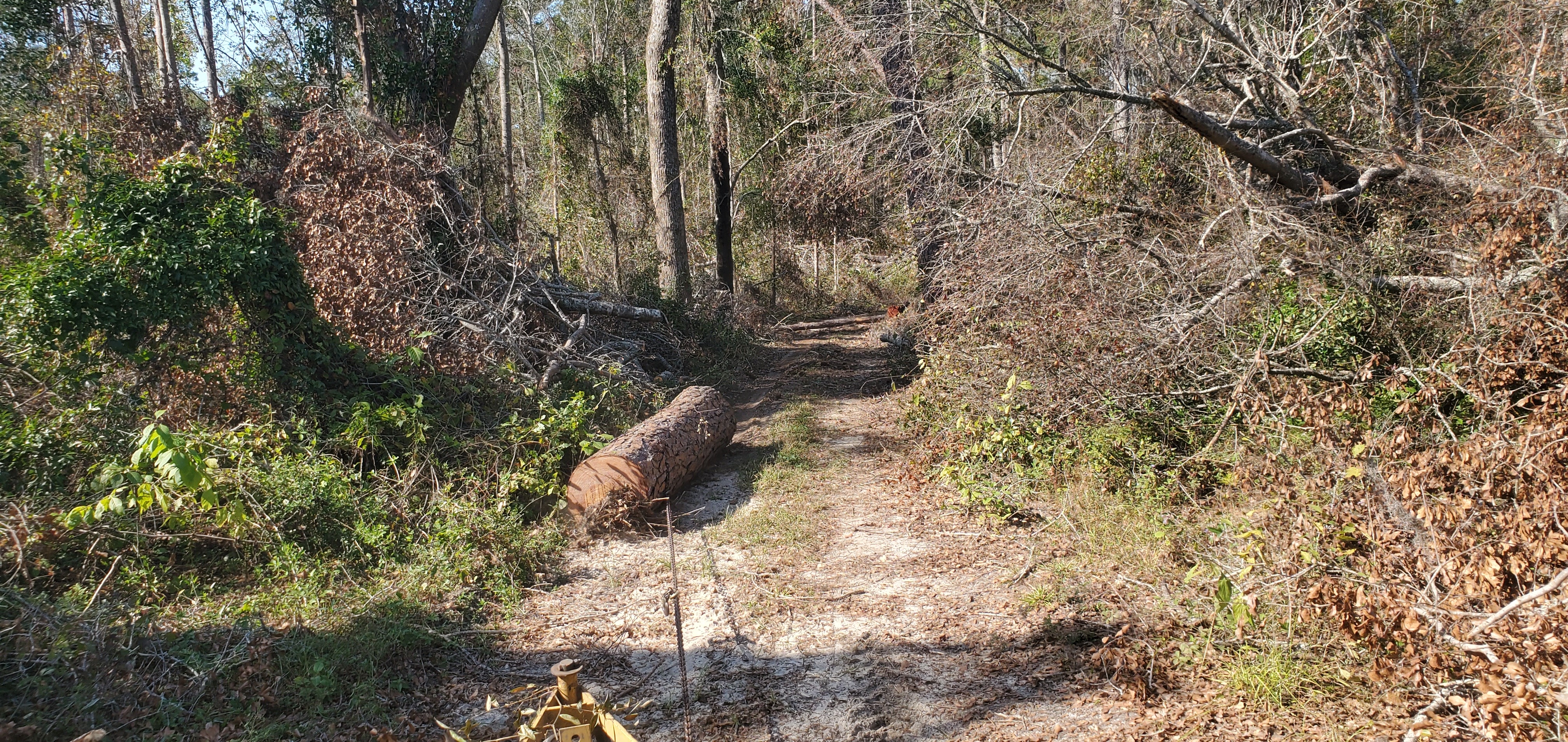 Logging chain