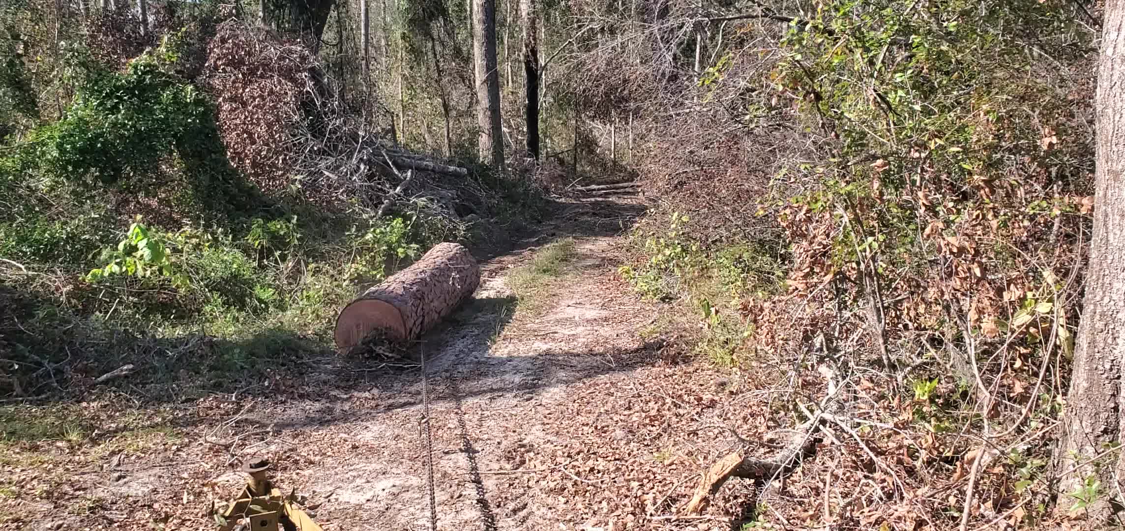 Movie: Logging chain (11M)