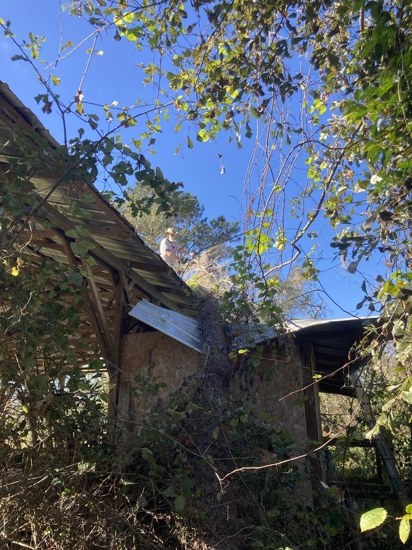 [Saw chunks small enough not to damage roof --Gretchen Quarterman]