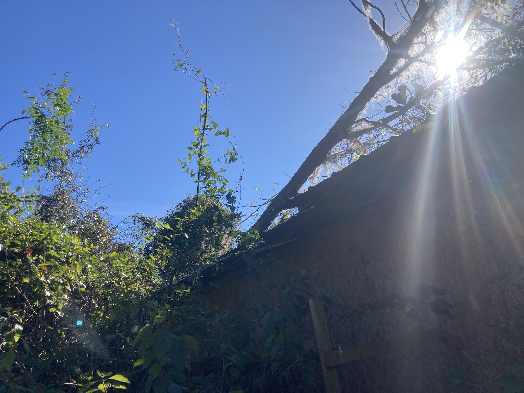 Need a rope from the peak of the tractor shed roof --Gretchen Quarterman