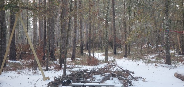 Fire pit and hurricane deadfalls