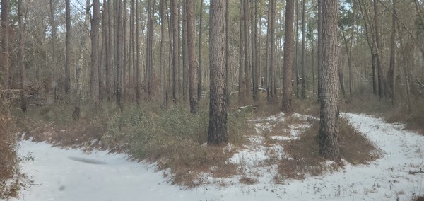 [Back driveway and old road]