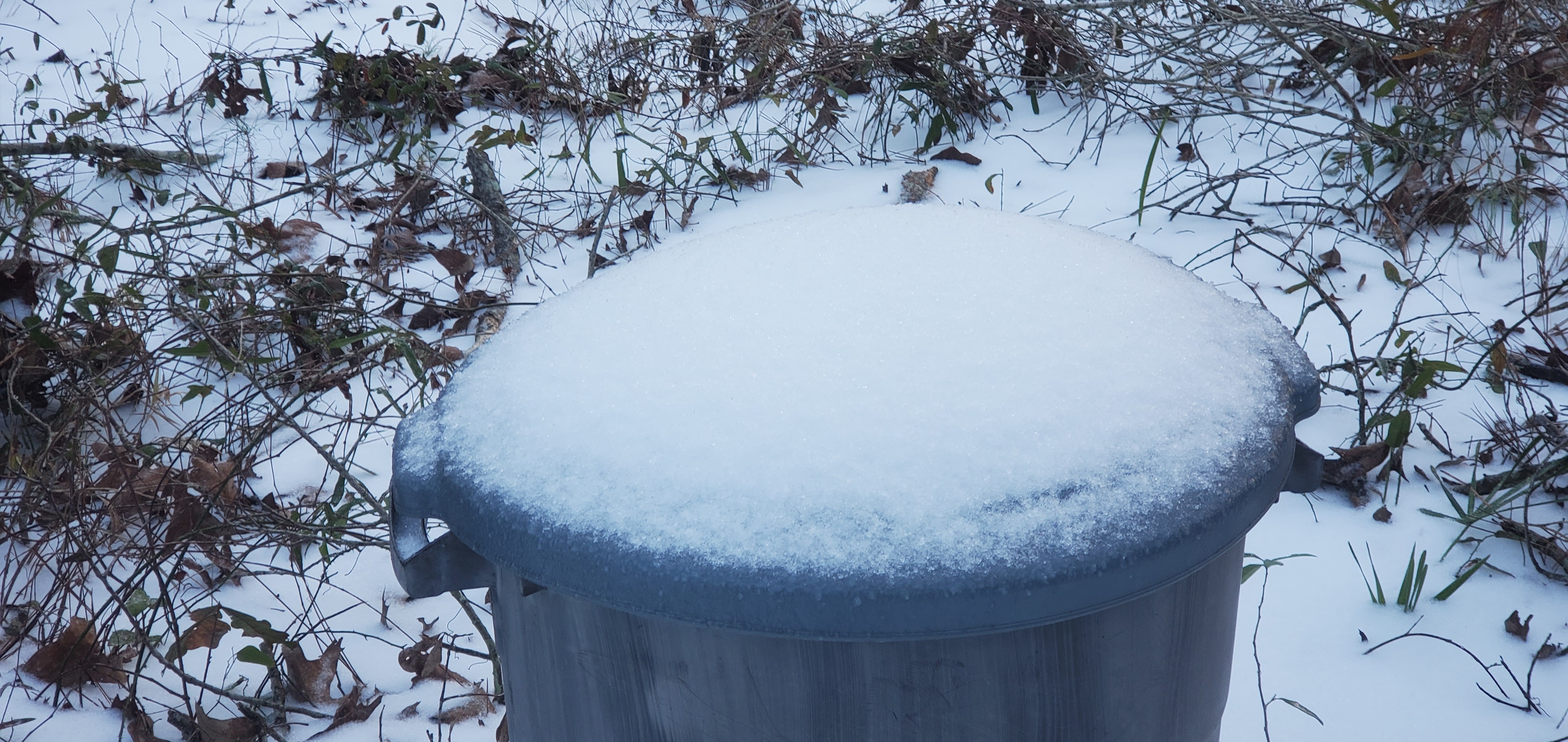 Mounded trash can