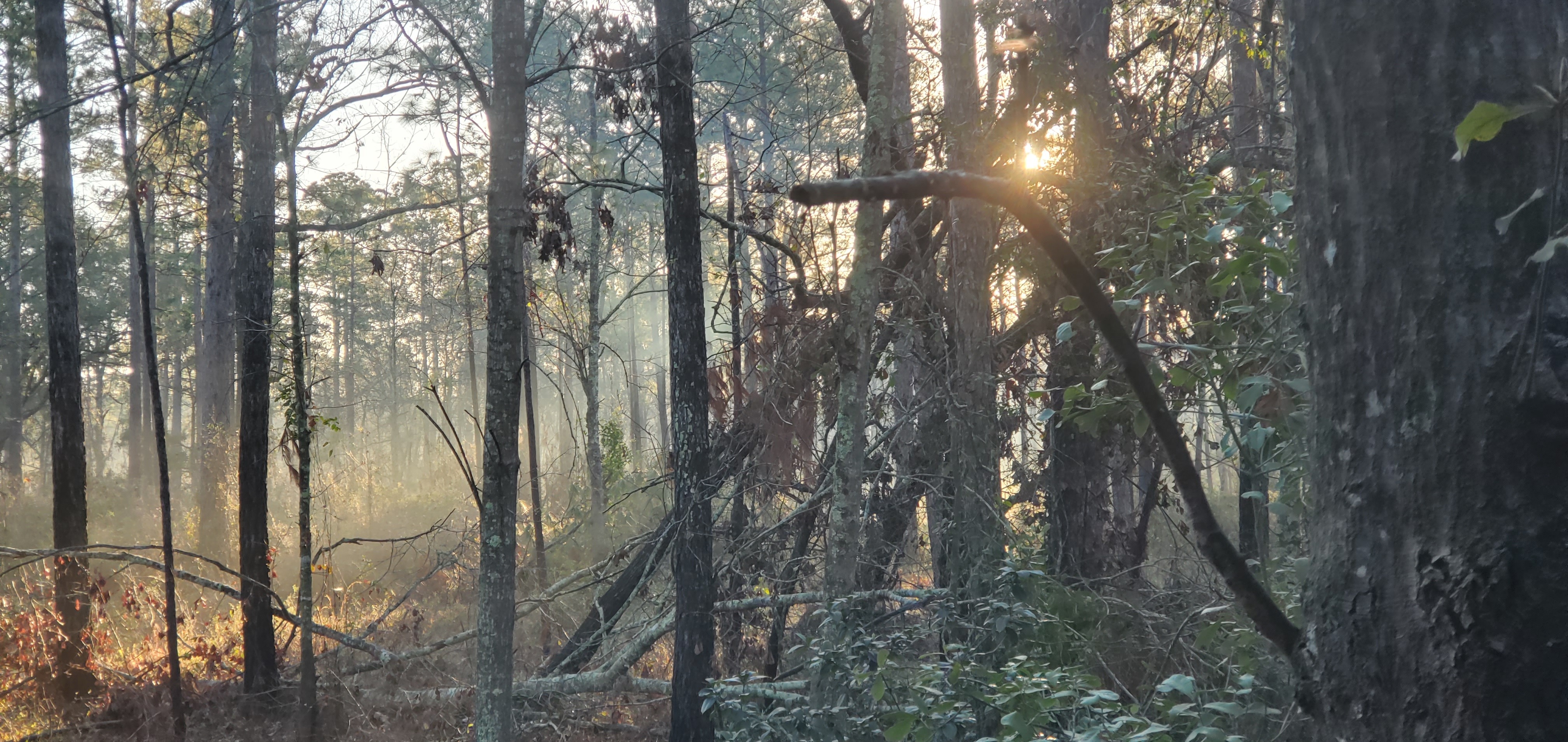 Hurricane Debris Daybreak