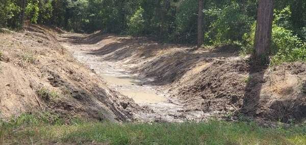 Closeup, Near Hambrick Road, 2025:05:01 11:56:46