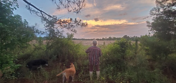 River, Honeybun, Blondie, Gretchen, Lucky Peggy's north field, and the sky