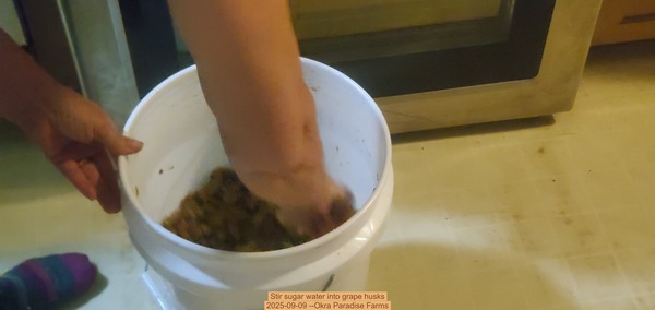 Stir sugar water into grape husks, 2025-09-09 --Okra Paradise Farms