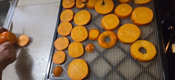 Slice them up for dehydrating