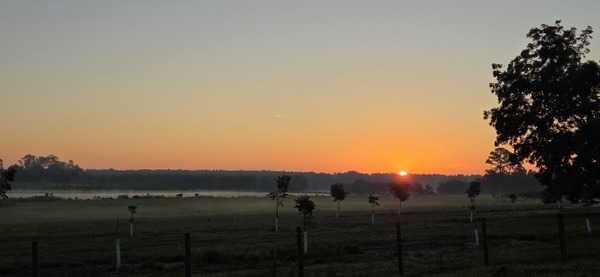 [Sunrise on Cat Creek Road]