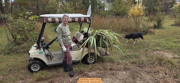 Gretchen, cane, River, 2025-11-09 --jsq for OPF