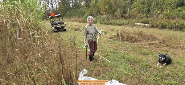 Save that one to squeeze juice, 2025-11-09 --jsq for OPF