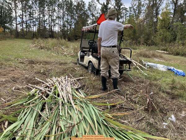 jsq and the cane bed, 2025-11-09 --Gretchen Quarterman for OPF