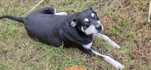 [River, 2025-11-09 --jsq for OPF]