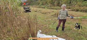 [Gretchen is pleased with this cane stalk, while River watches, 2025-11-09 --jsq for OPF]