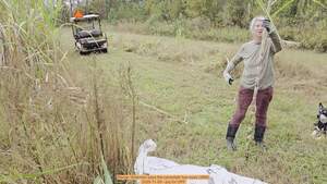 [Movie: Gretchen says the canestalk has eyes (28M), 2025-11-09 --jsq for OPF]