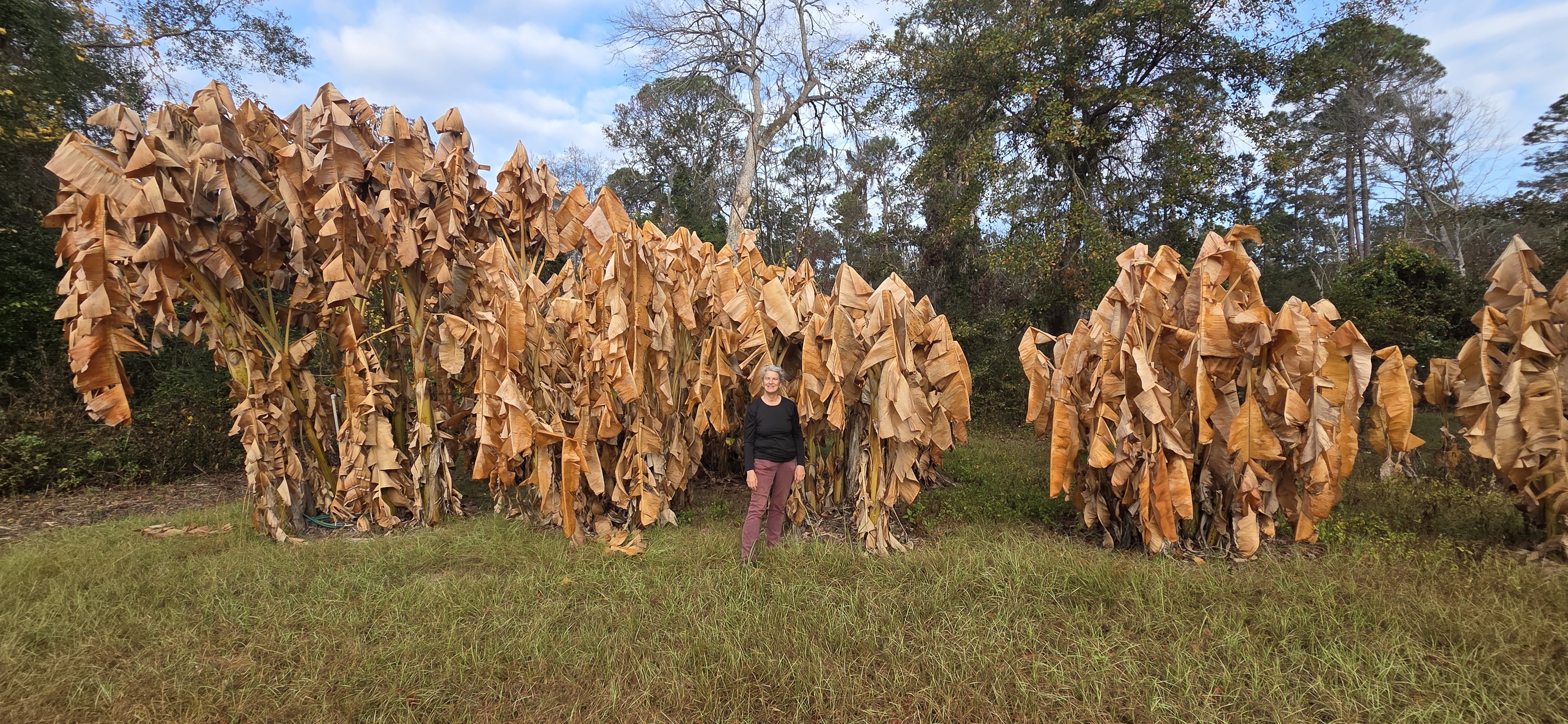 Gretchen with her banana plants