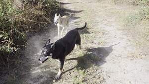 [Movie: River and Sky (8.7M)]