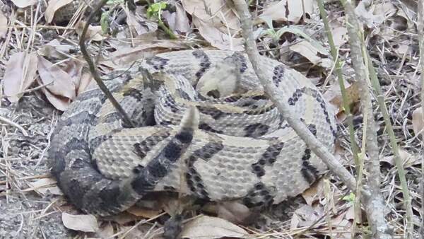 Movie: Closeup (13M)