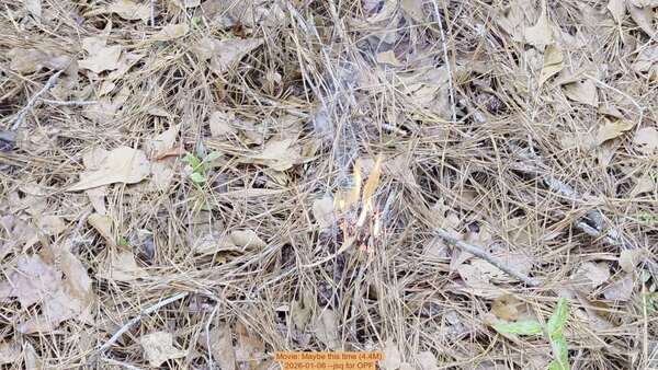 Movie: Maybe this time (4.4M), 2026-01-06, 5-acre prescribed burn --jsq for OPF