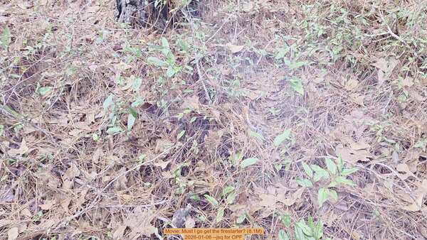 Movie: Must I go get the firestarter? (8.1M), 2026-01-06, 5-acre prescribed burn --jsq for OPF