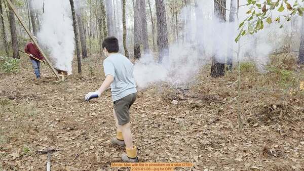 Movie: Max with fire in pinestraw on a rake (27M), 2026-01-06, 5-acre prescribed burn --jsq for OPF