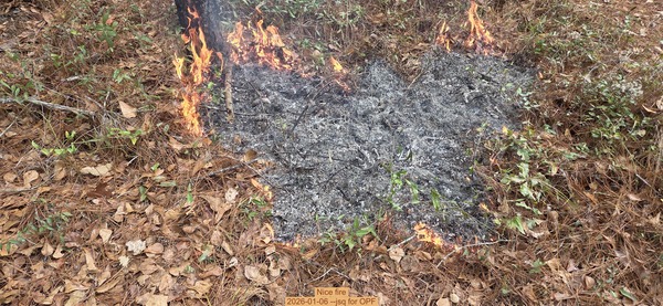 [Nice fire, 2026-01-06, 5-acre prescribed burn --jsq for OPF]