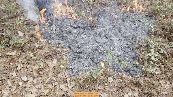 Movie: A nice low fire (10M), 2026-01-06, 5-acre prescribed burn --jsq for OPF