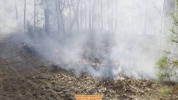 Movie: A little smokey (5.7M), 2026-01-06, 5-acre prescribed burn --jsq for OPF