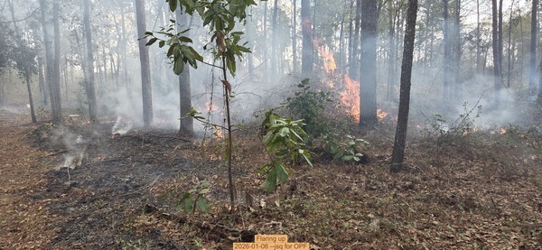 [Flaring up, 2026-01-06, 5-acre prescribed burn --jsq for OPF]