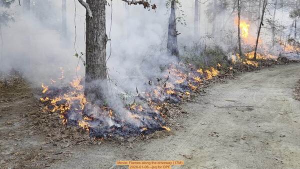 Movie: Flames along the driveway (17M), 2026-01-06, 5-acre prescribed burn --jsq for OPF