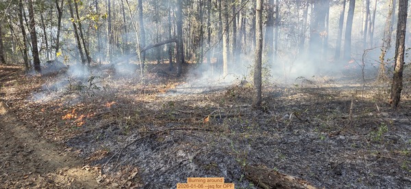 [Burning around, 2026-01-06, 5-acre prescribed burn --jsq for OPF]