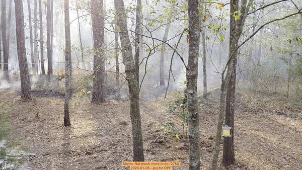 [Movie: Not much more to do (27M), 2026-01-06, 5-acre prescribed burn --jsq for OPF]