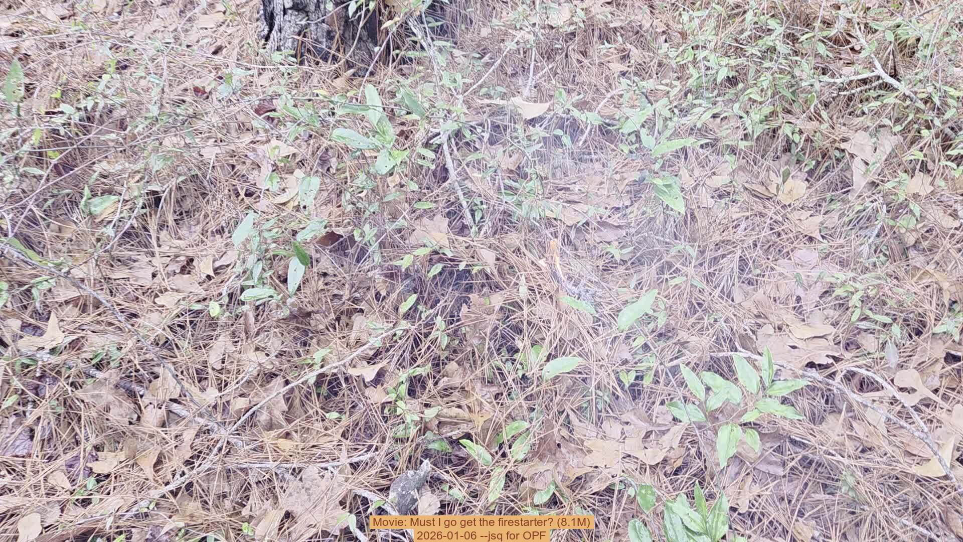 Movie: Must I go get the firestarter? (8.1M), 2026-01-06, 5-acre prescribed burn --jsq for OPF
