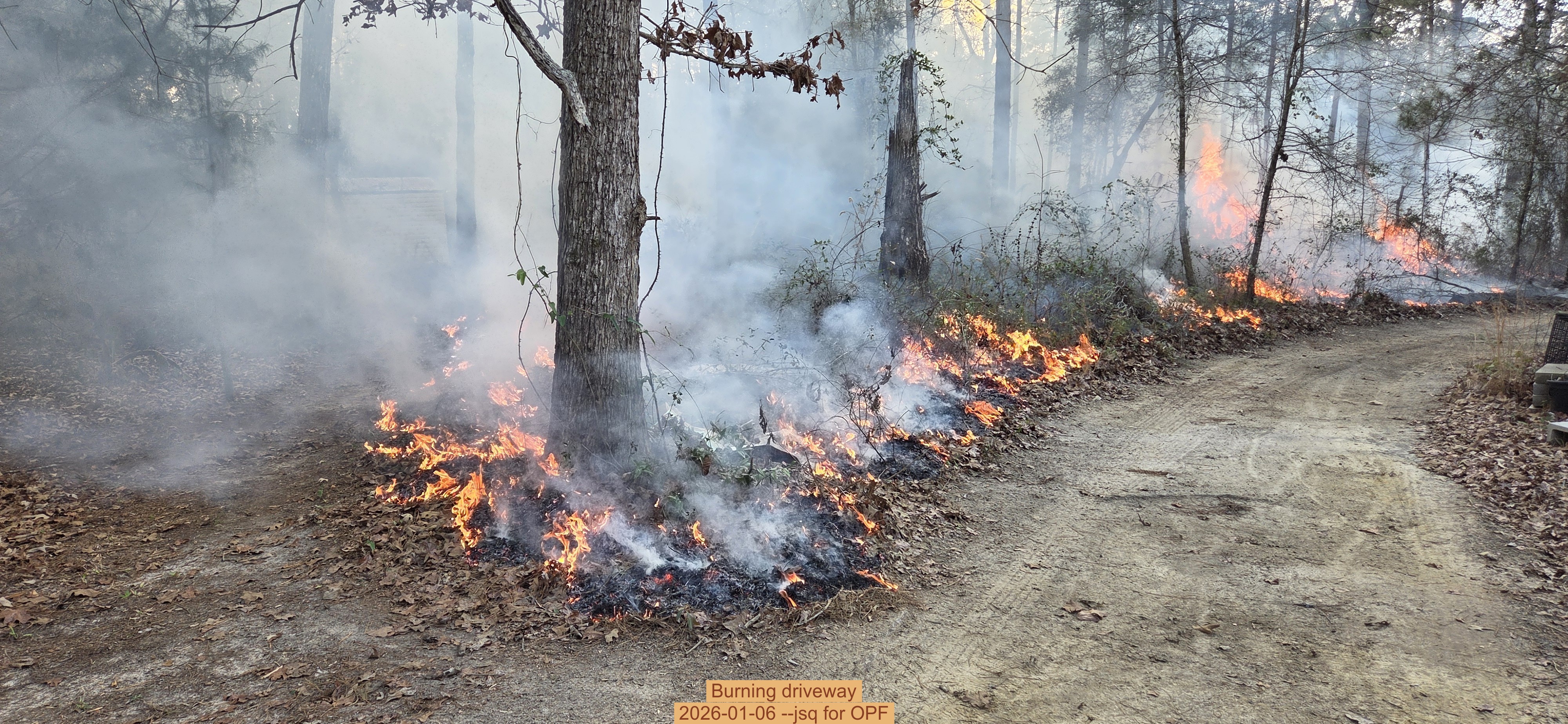 Burning driveway, 2026-01-06, 5-acre prescribed burn --jsq for OPF