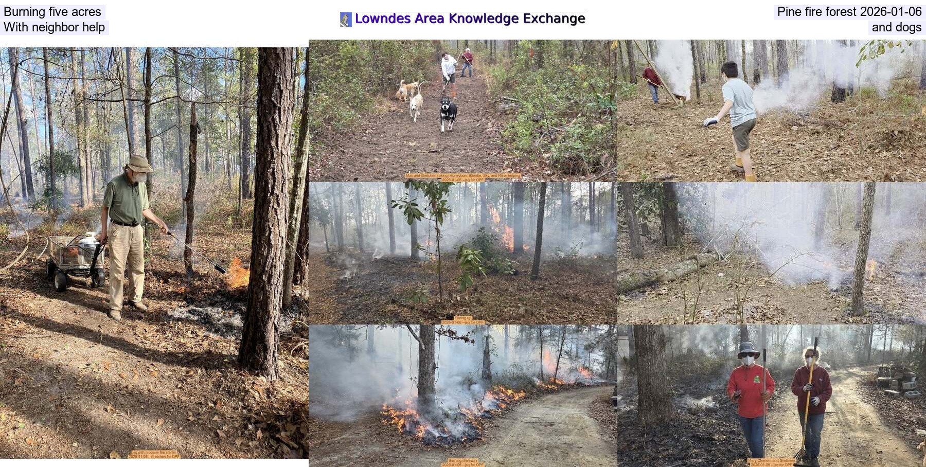 Burning five acres, Pine fire forest 2026-01-06, With neighbor help, and dogs