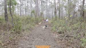 [Movie: Raking a firebreak (20M), 2026-01-06, 5-acre prescribed burn --jsq for OPF]