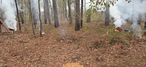 [Finally burning, 2026-01-06, 5-acre prescribed burn --jsq for OPF]