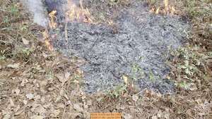[Movie: A nice low fire (10M), 2026-01-06, 5-acre prescribed burn --jsq for OPF]